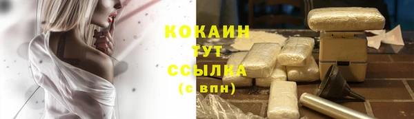 спиды Арсеньев