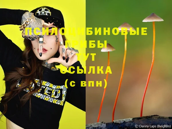 mix Армянск