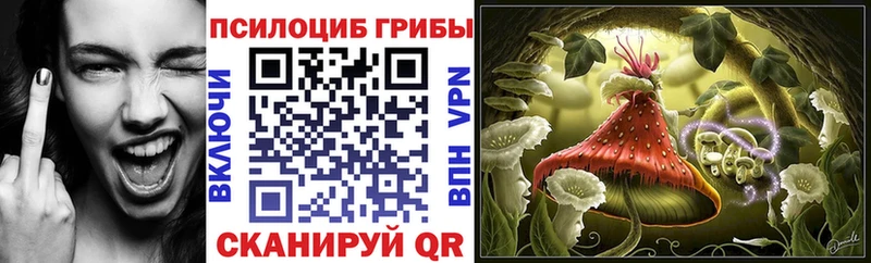 Псилоцибиновые грибы Cubensis  магазин продажи наркотиков  Кола 